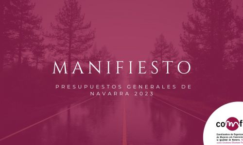 Manifiesto y Propuestas con Perspectiva de Genero del Proyecto de los Presupuestos Generales de Navarra 2023