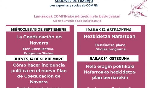 Sesiones de trabajo sobre la coeducación en Navarra